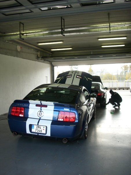 Shelby